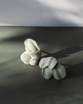 Fiona liten
