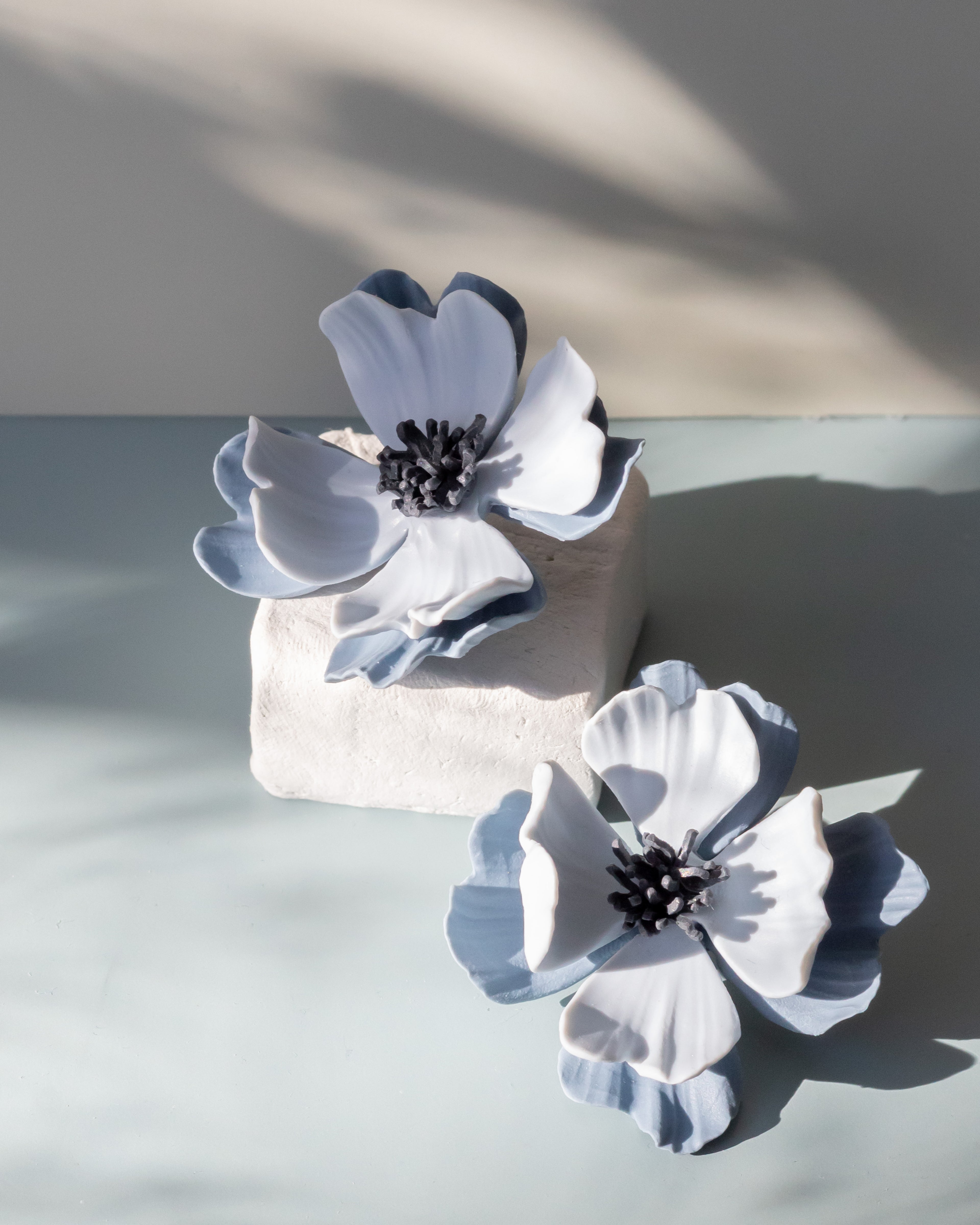 Fiona Stor