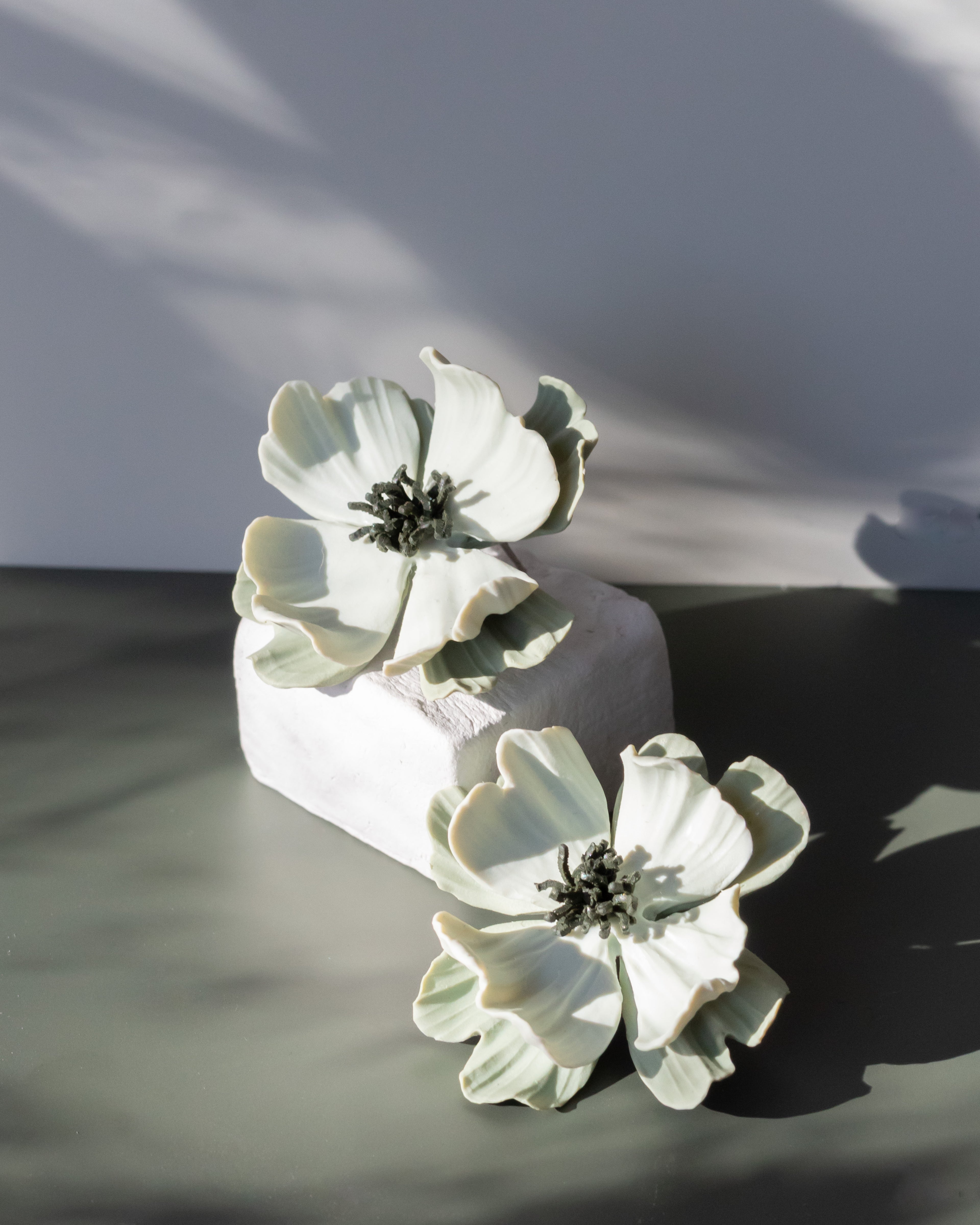 Fiona Stor