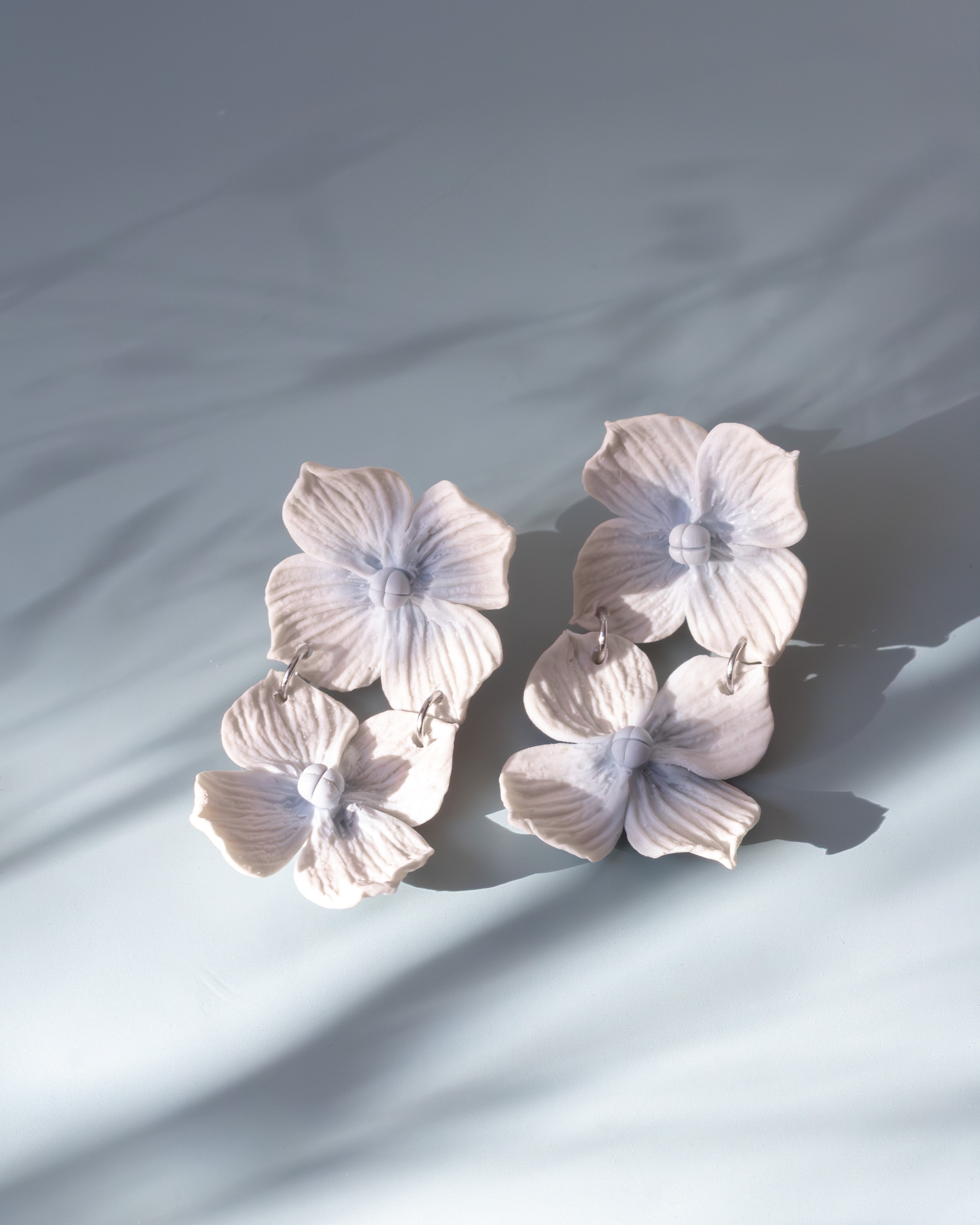 Hortensia Dubbel