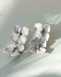 Hortensia Dubbel