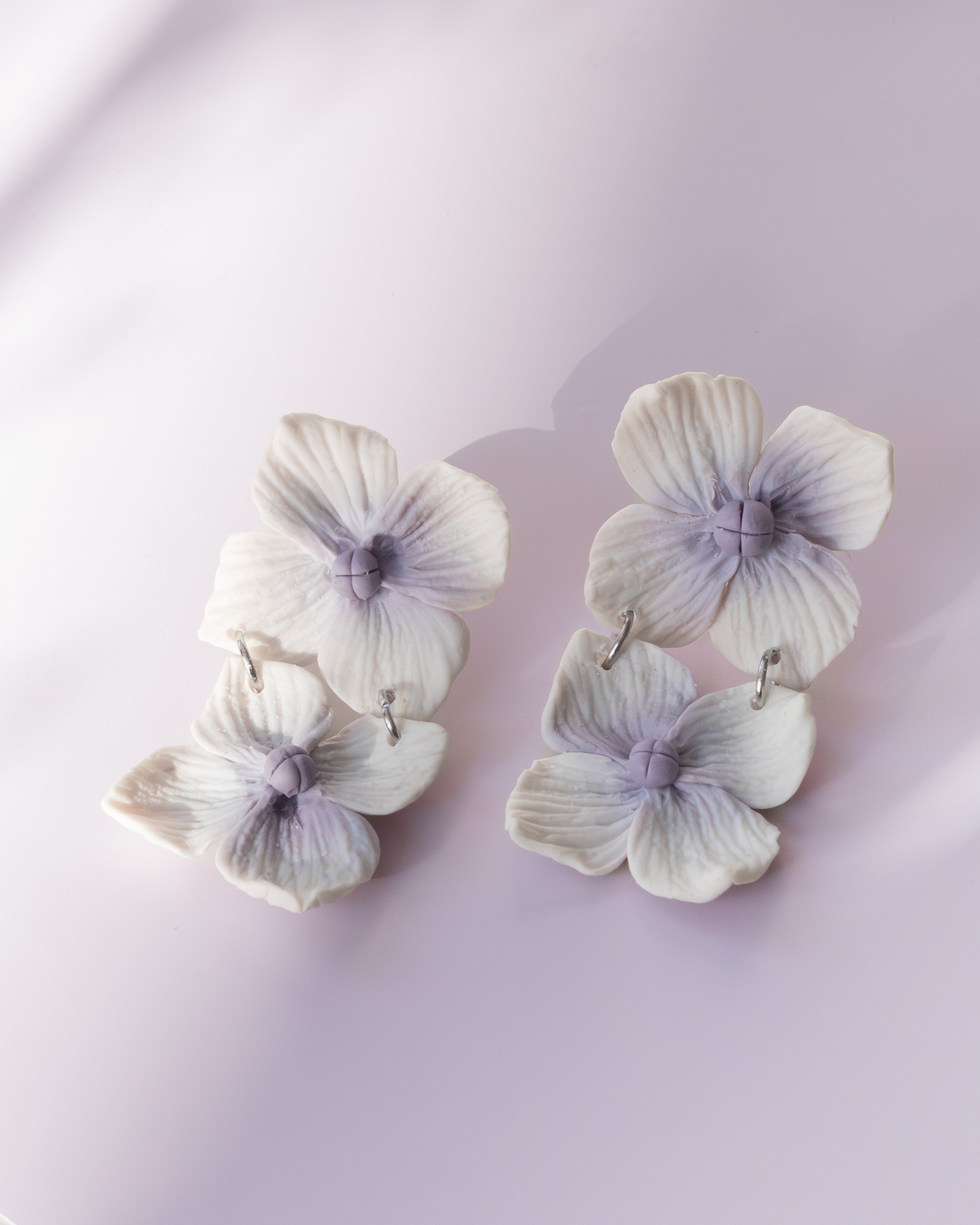 Hortensia Dubbel